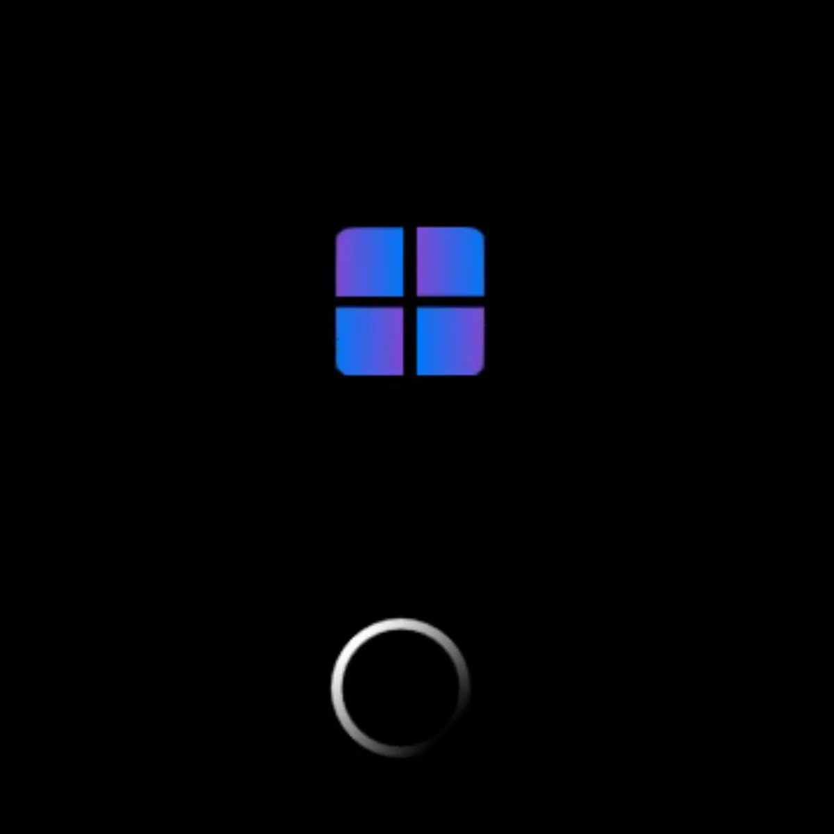the project is loading
