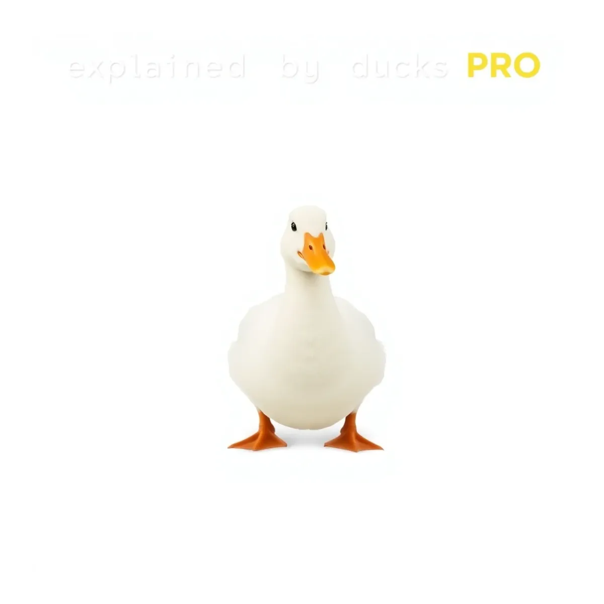 Explained by Ducks PRO