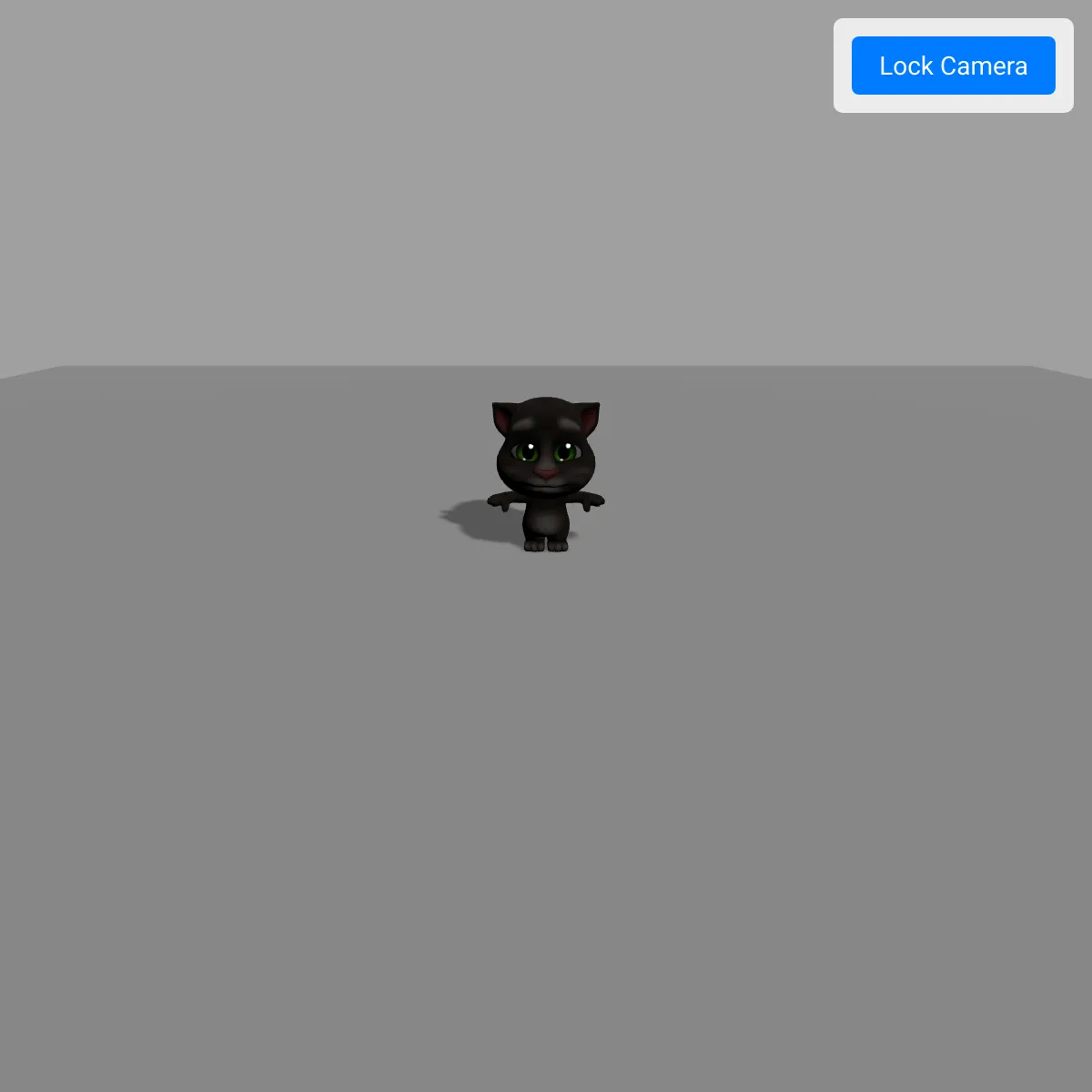 the project is loading