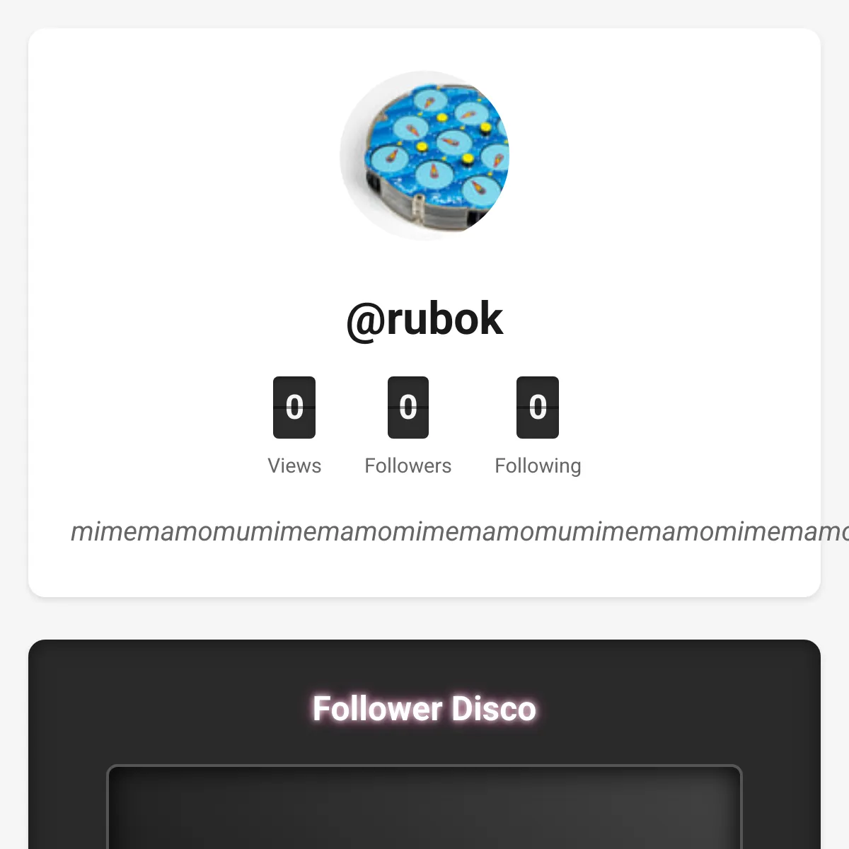 the project is loading