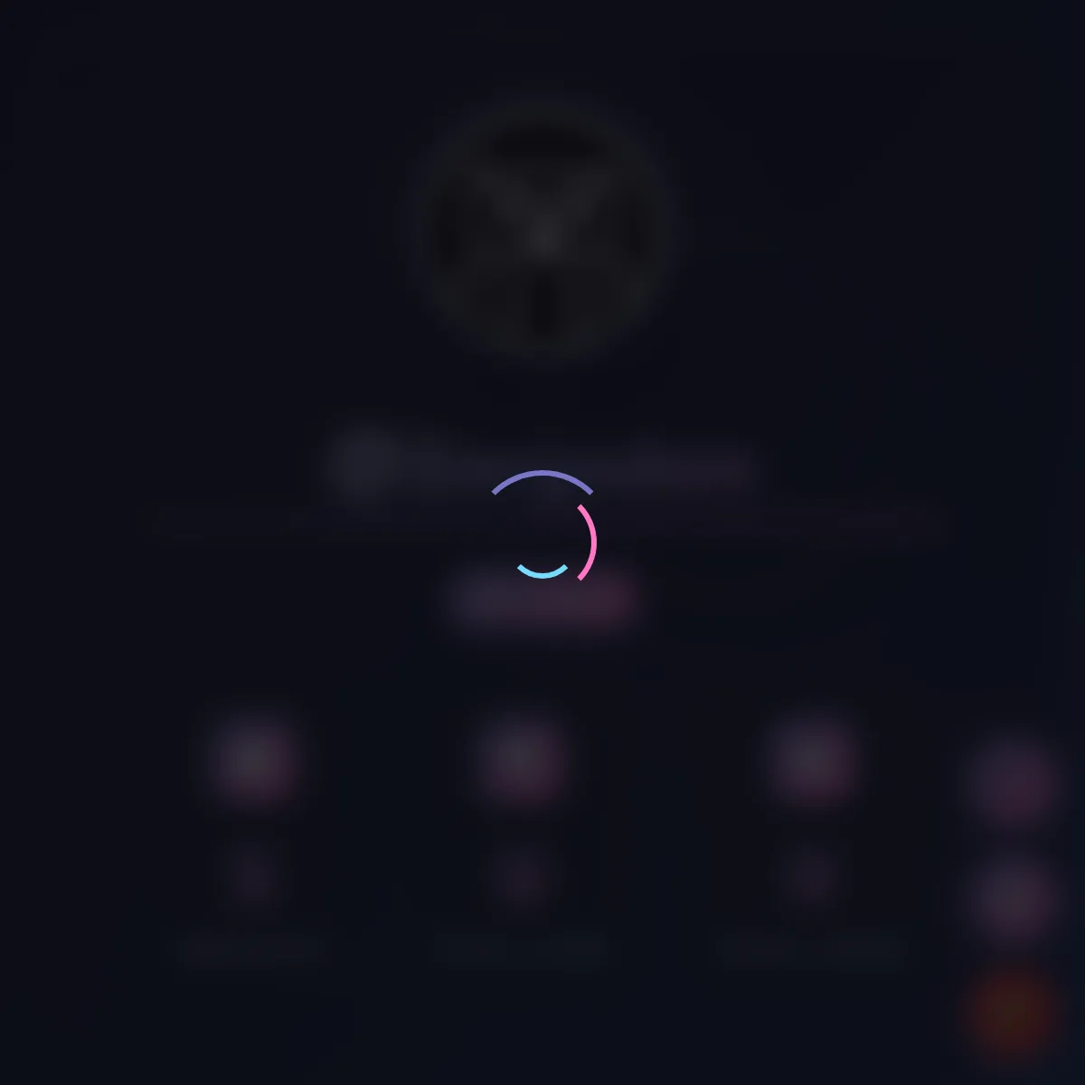 the project is loading
