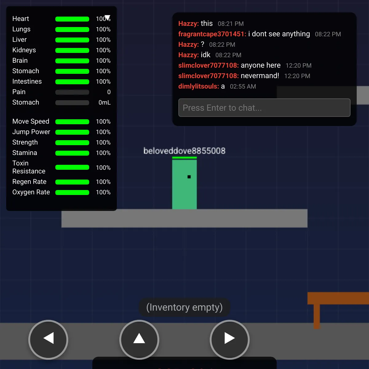 the project is loading