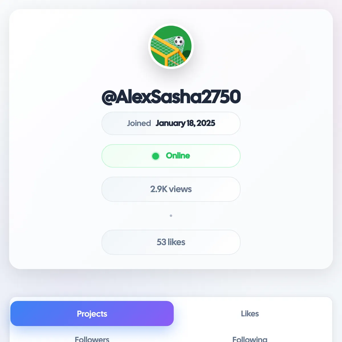 the project is loading