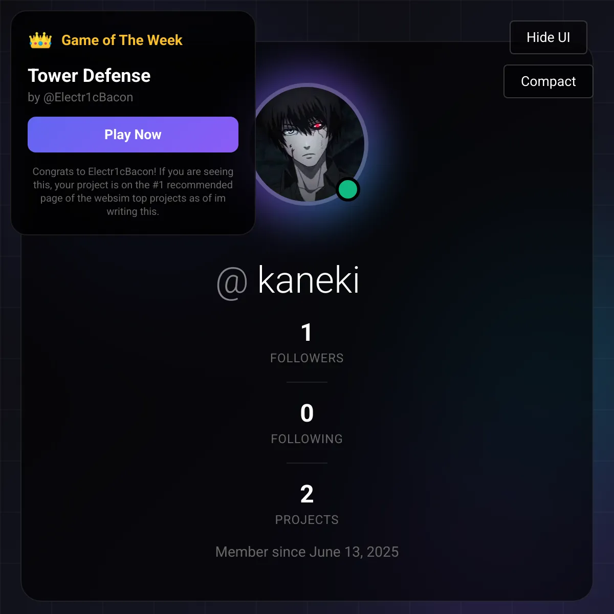 the project is loading