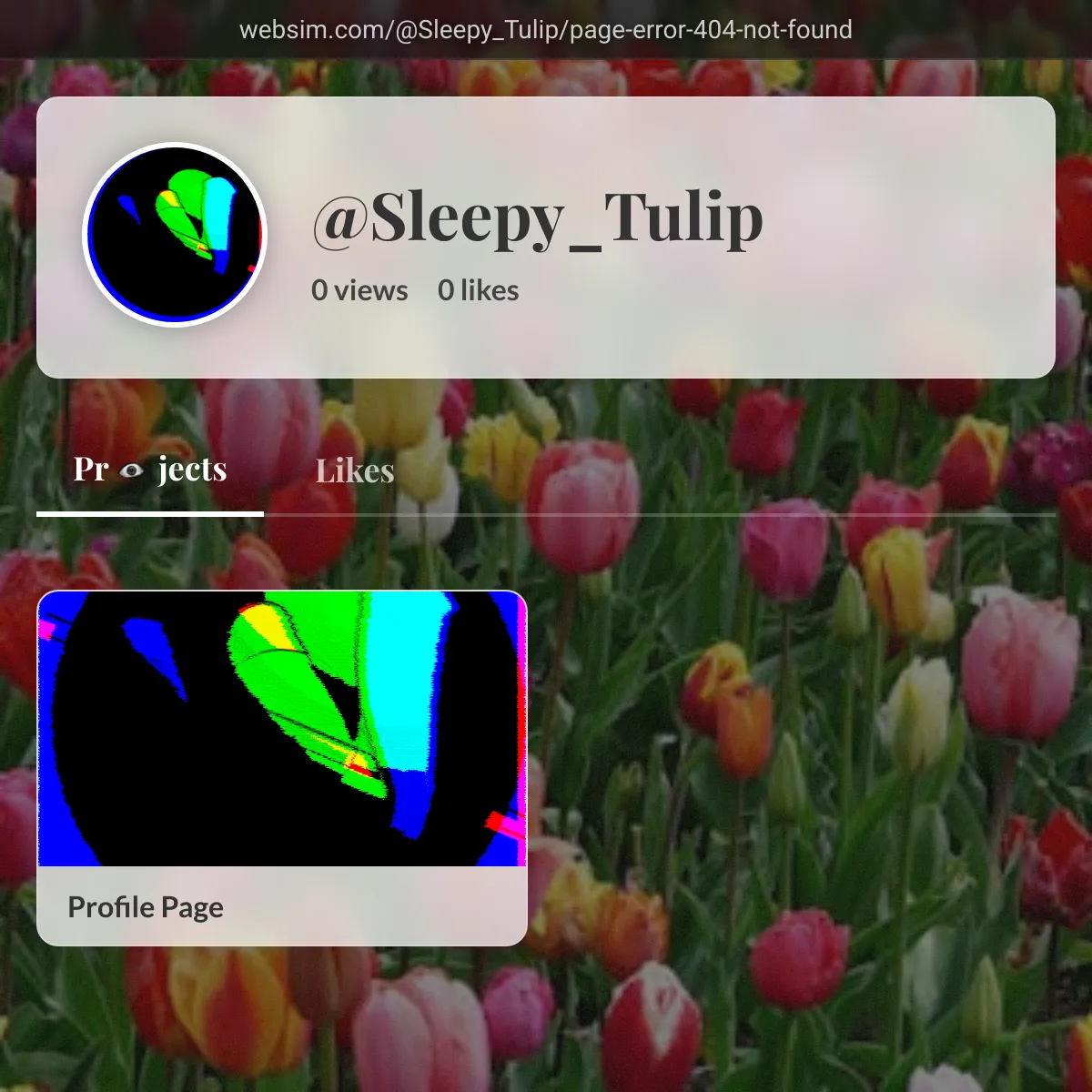 the project is loading