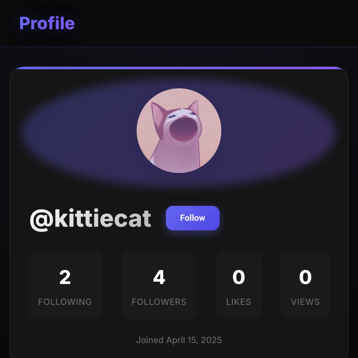 the project is loading