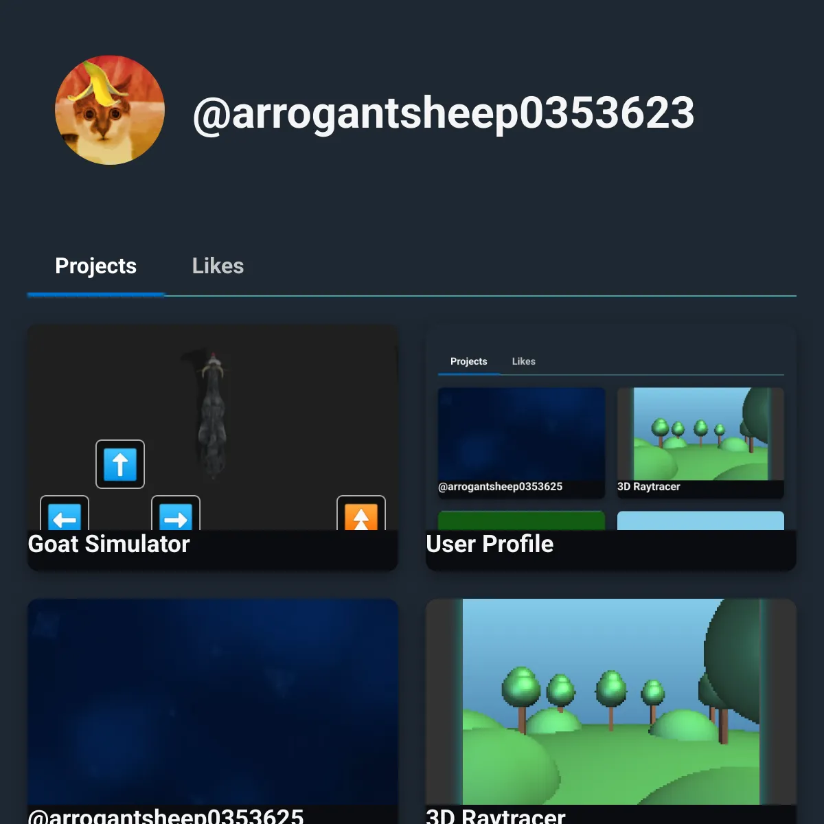 the project is loading