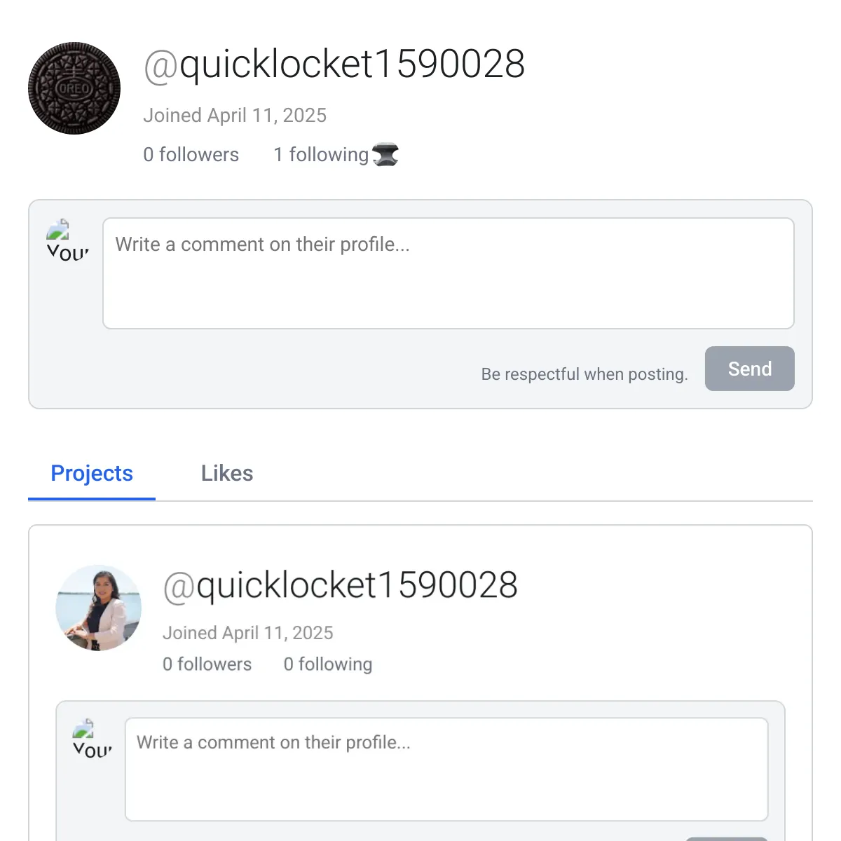 the project is loading