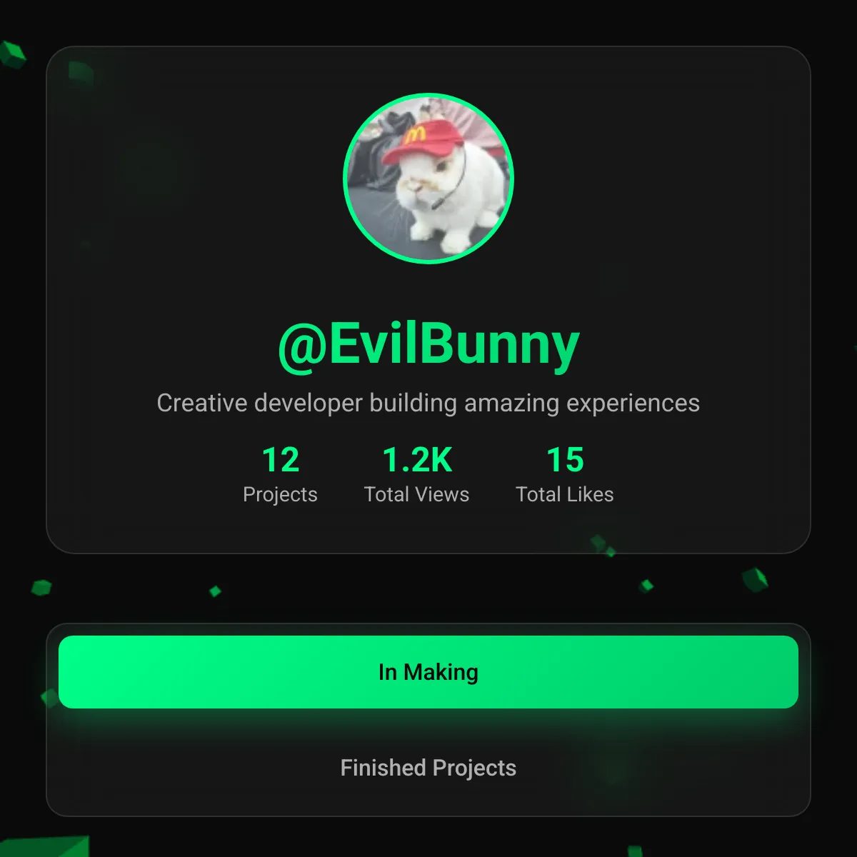 the project is loading