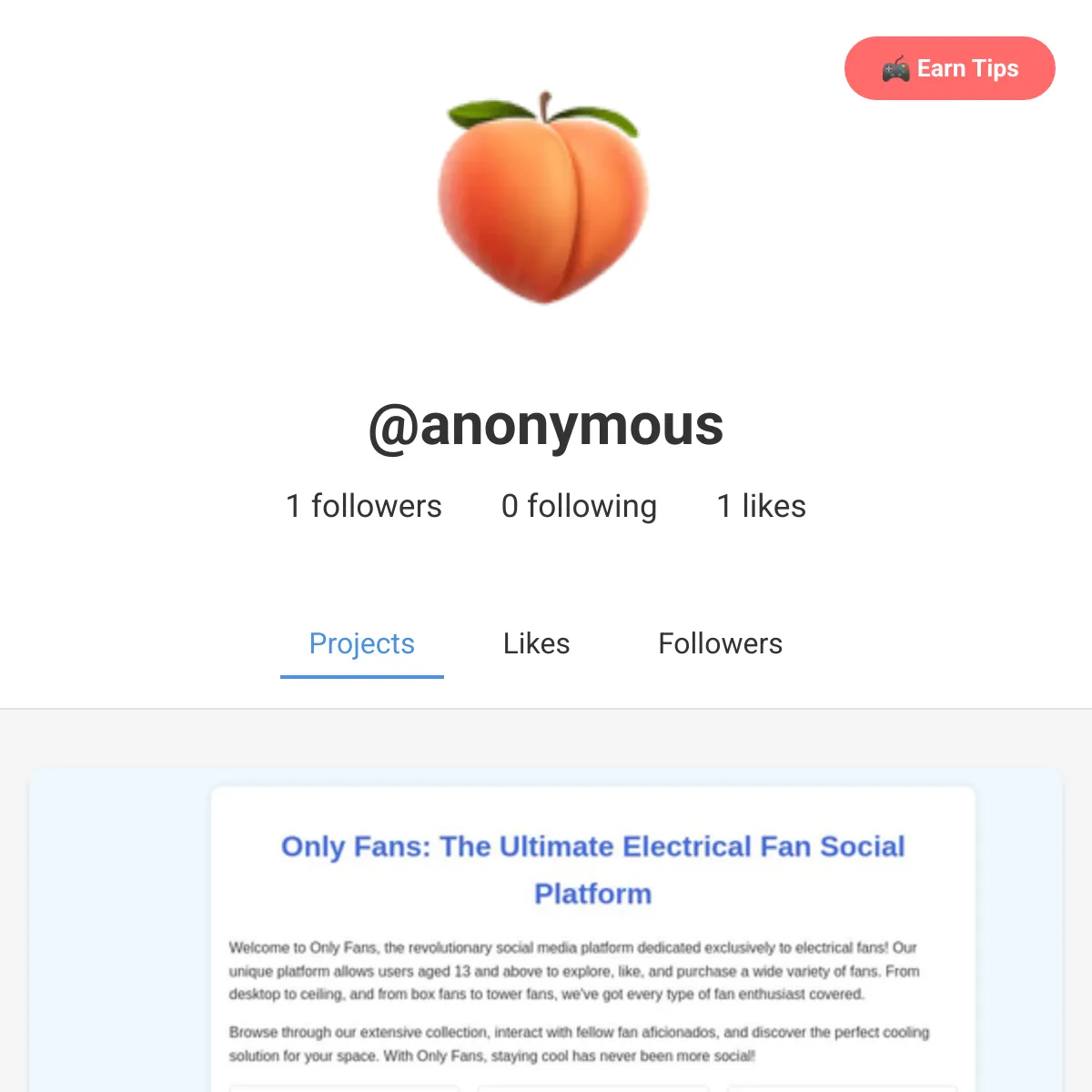 the project is loading