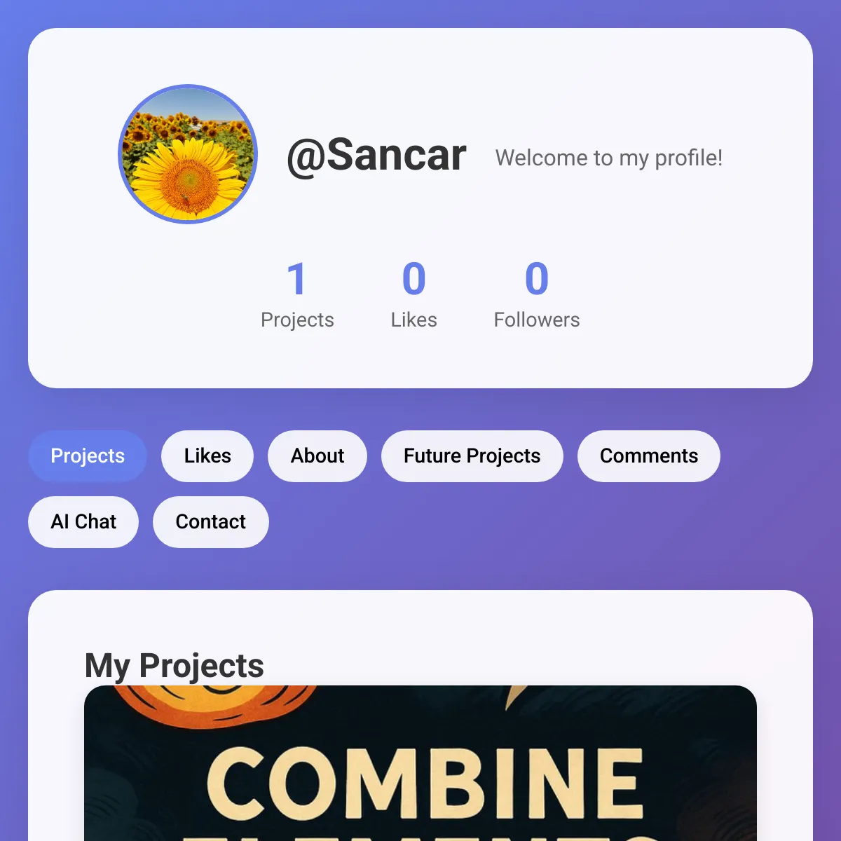 the project is loading