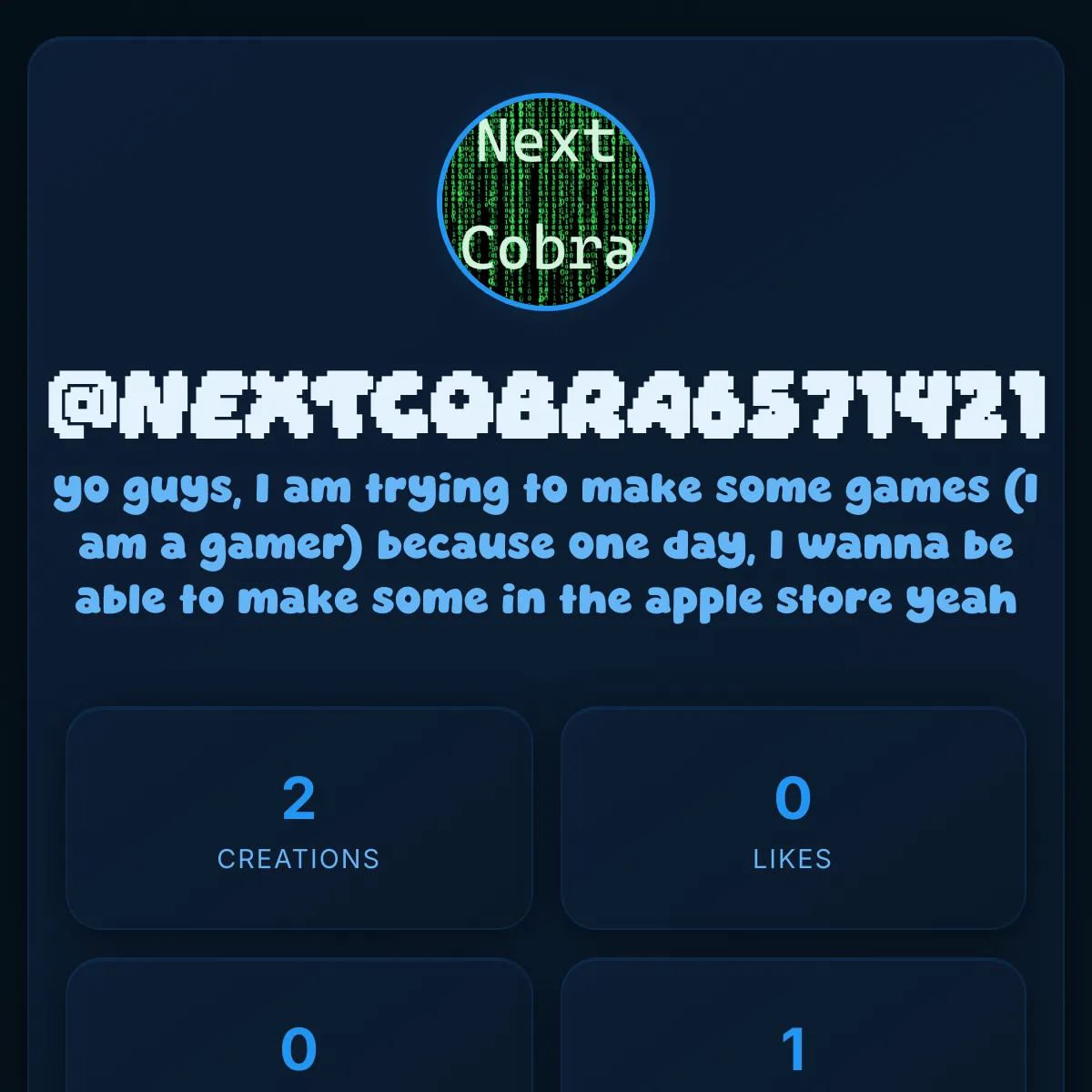 the project is loading