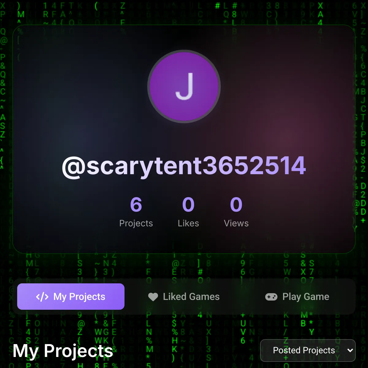 the project is loading