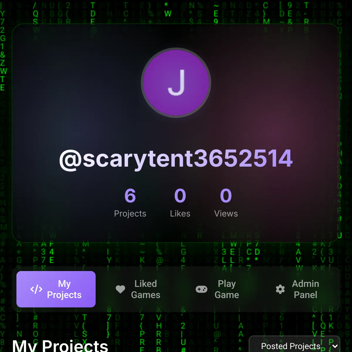 the project is loading