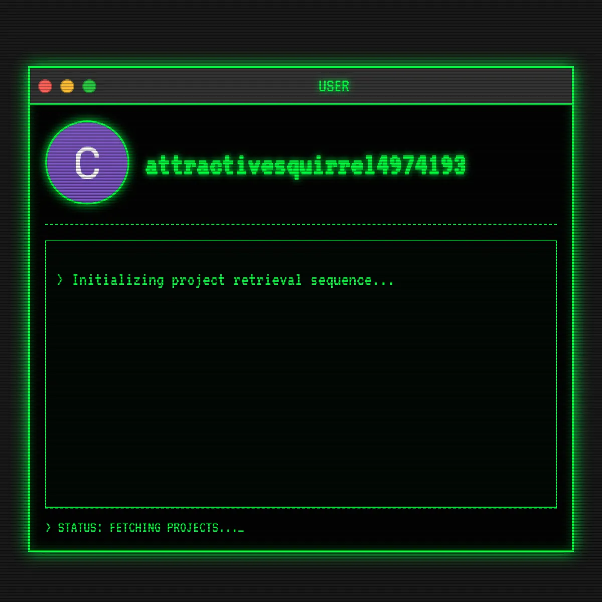 the project is loading
