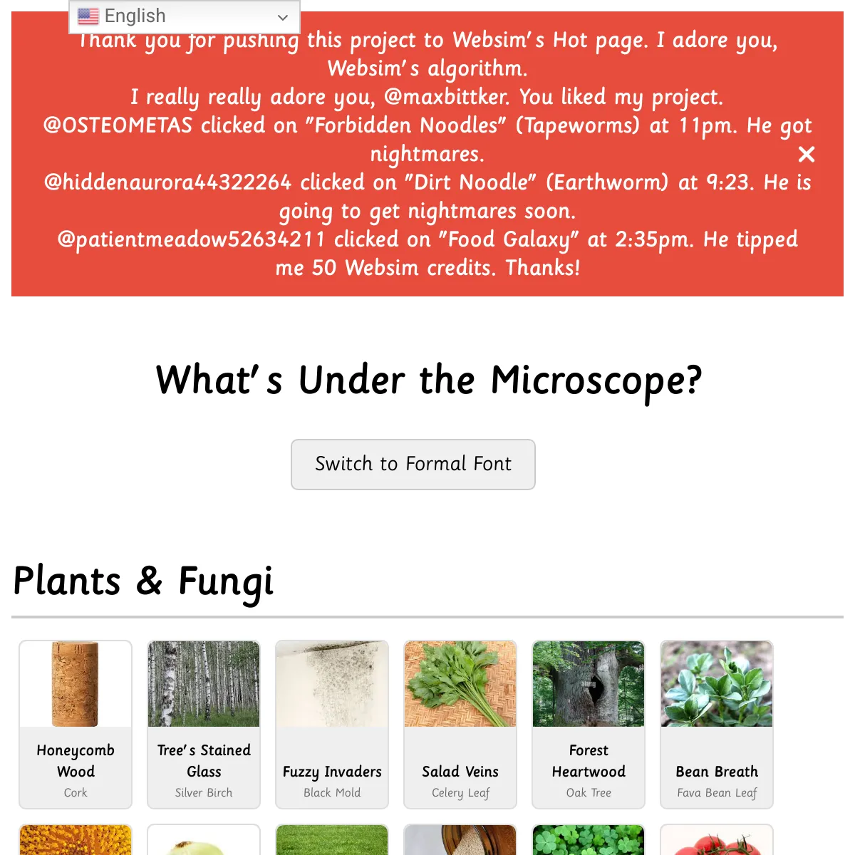 the project is loading