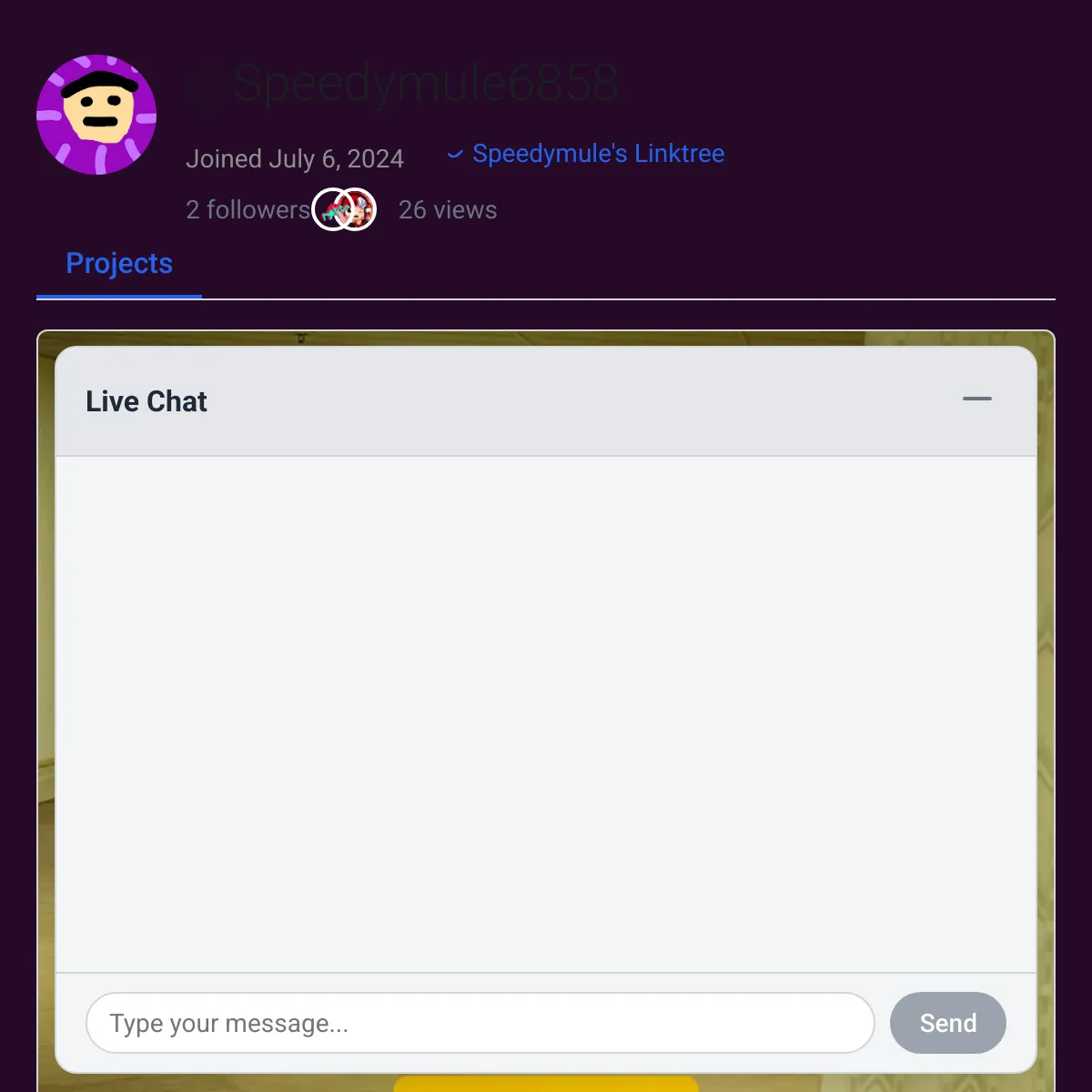 the project is loading