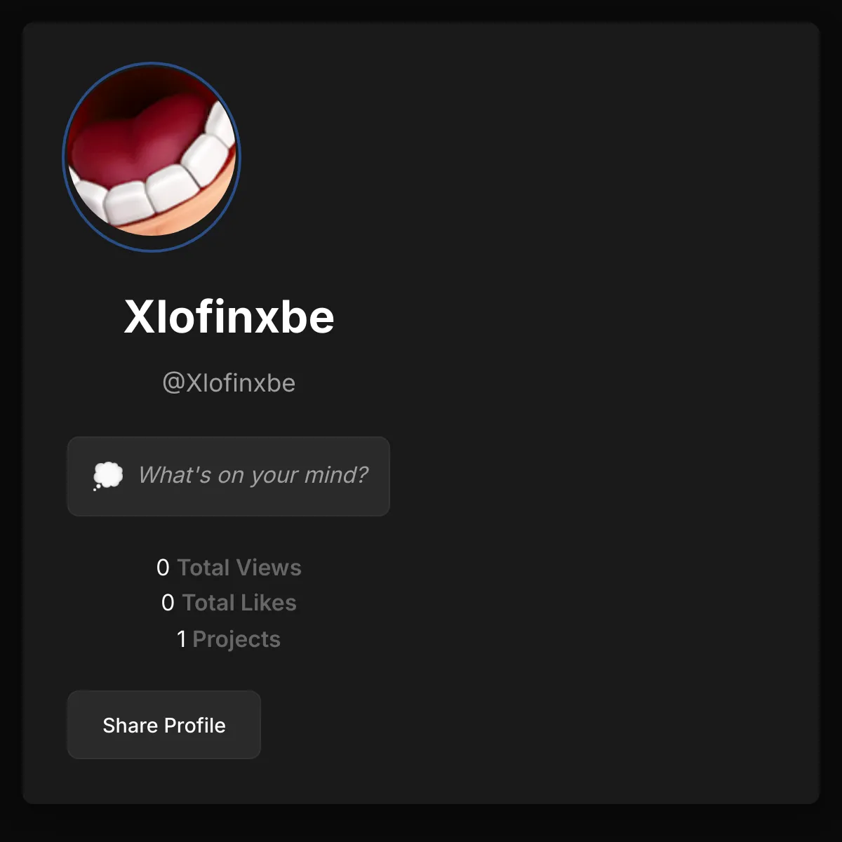 the project is loading