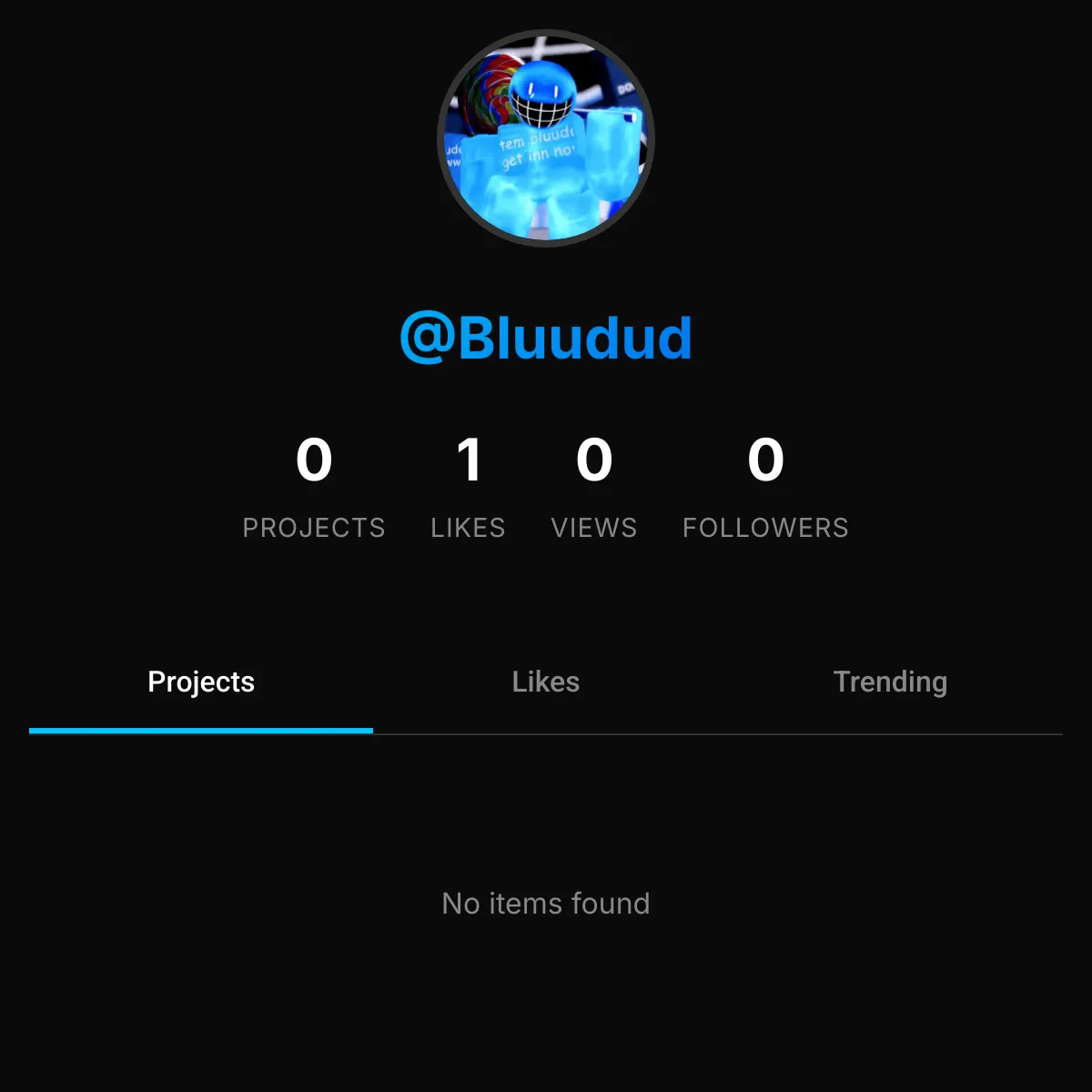 the project is loading