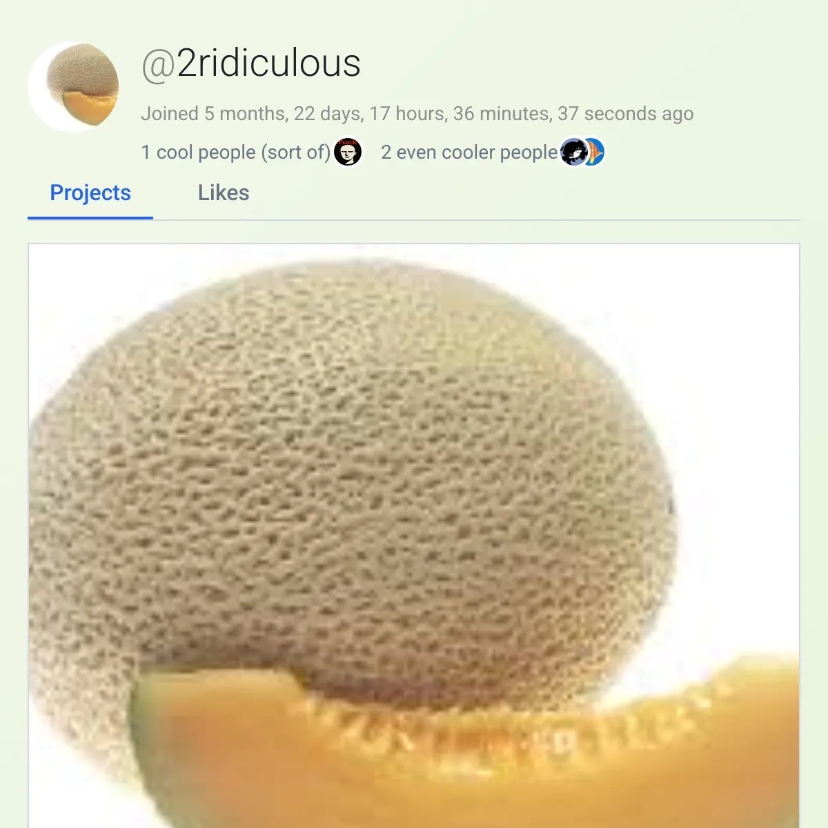 the project is loading