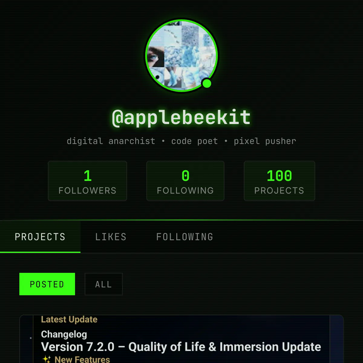the project is loading