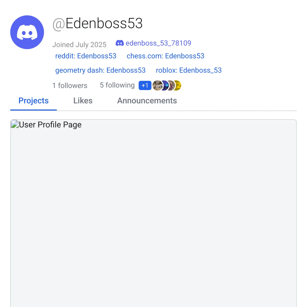 the project is loading