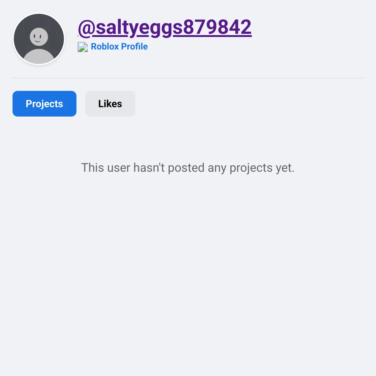 the project is loading