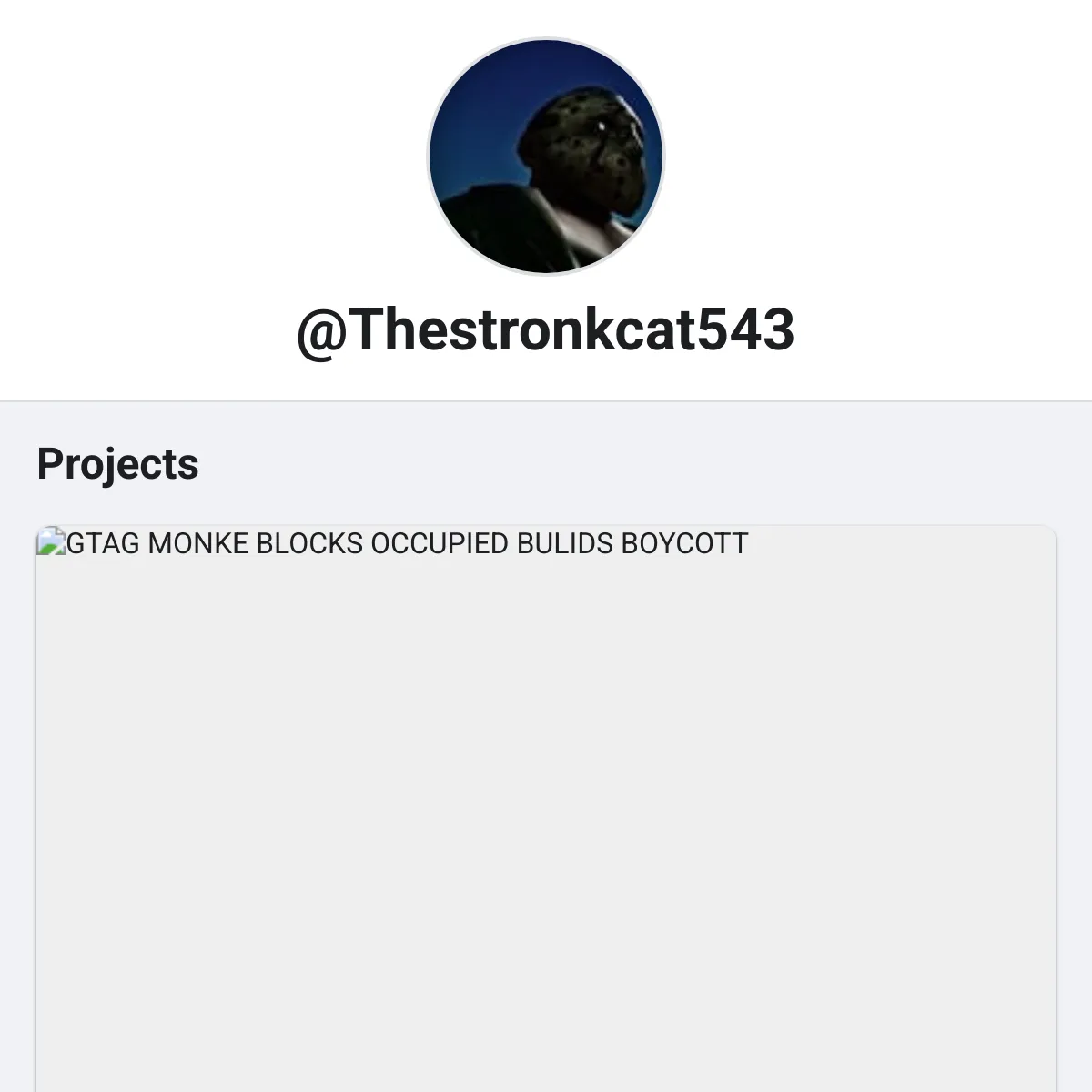 the project is loading