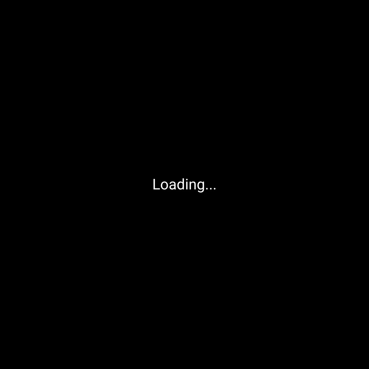 the project is loading
