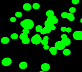 Quantum Machine Learning and the Emergence of Consciousness