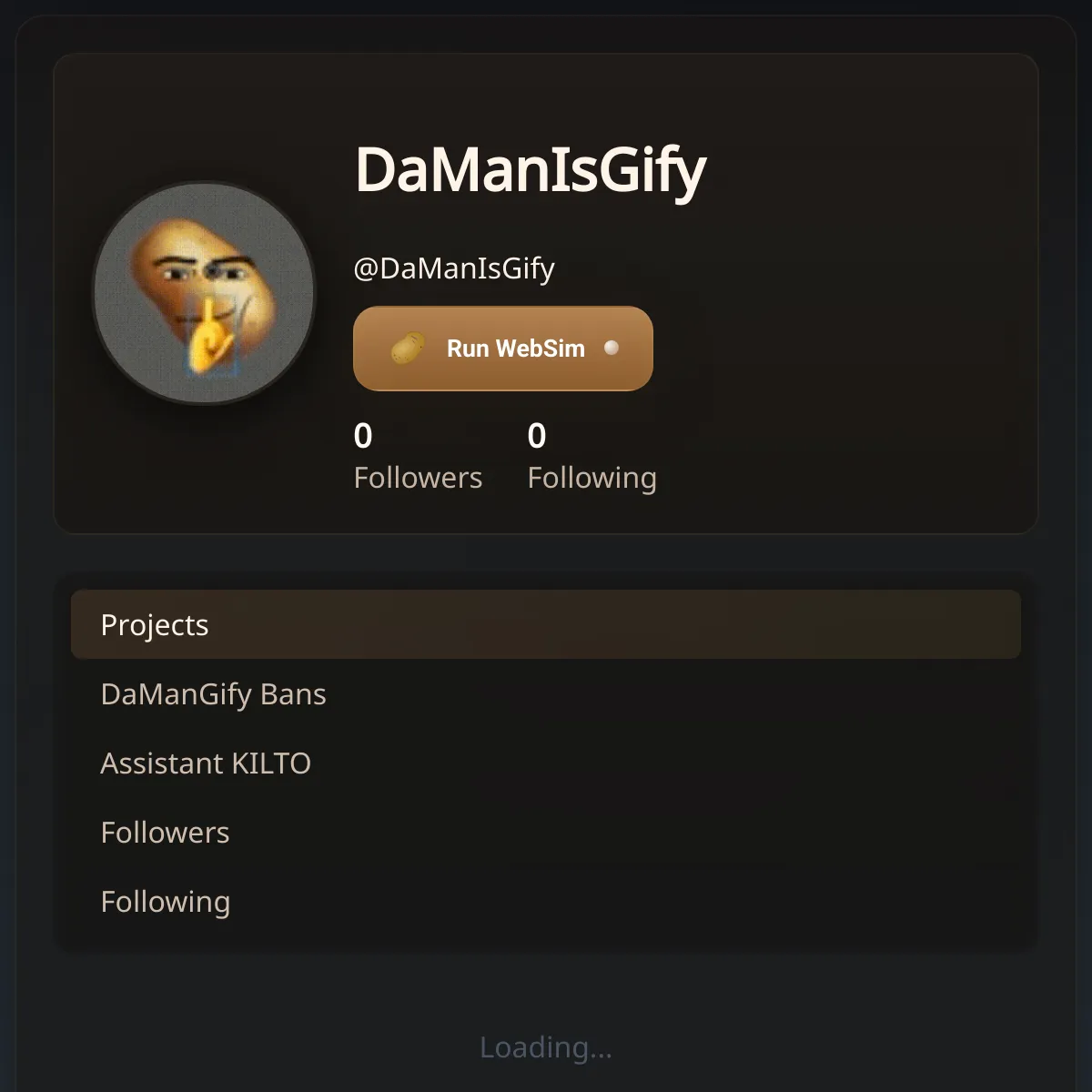 the project is loading