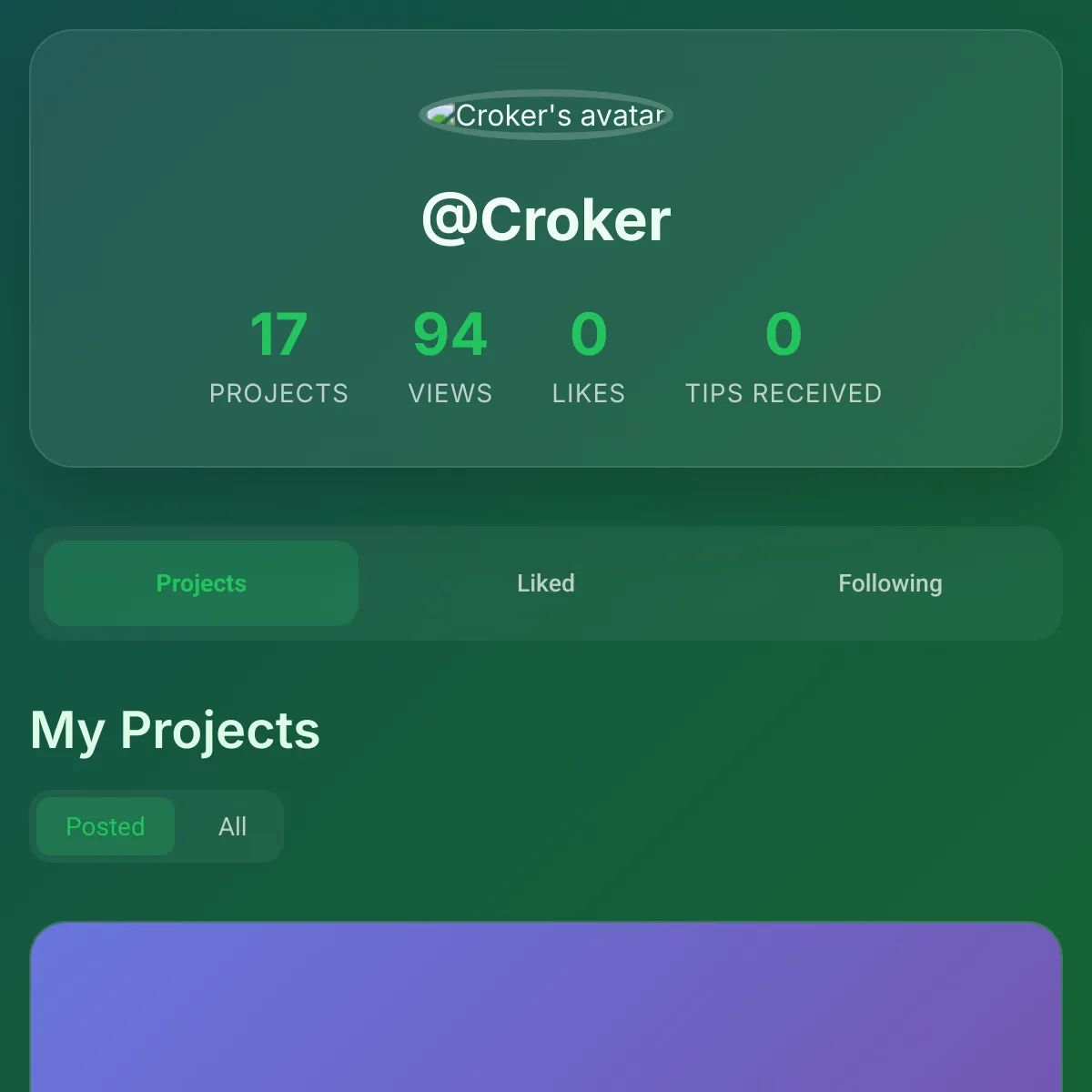 the project is loading