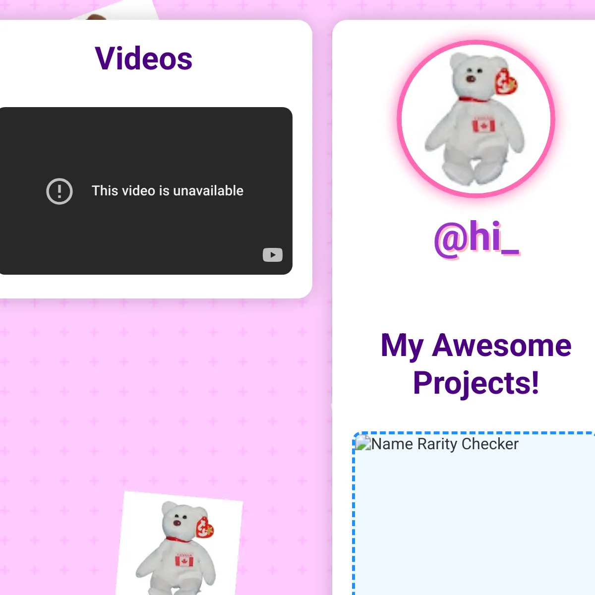 the project is loading
