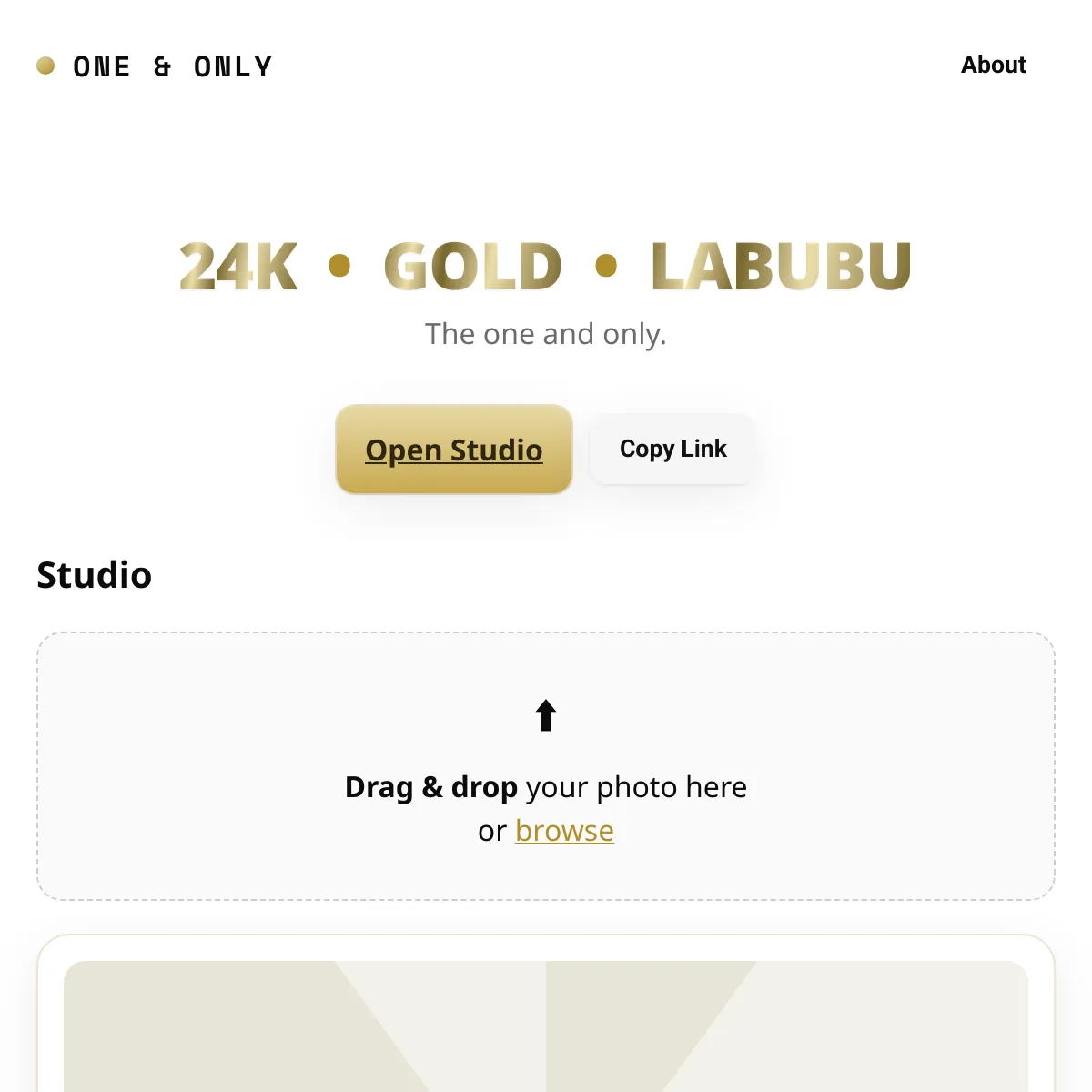 the project is loading