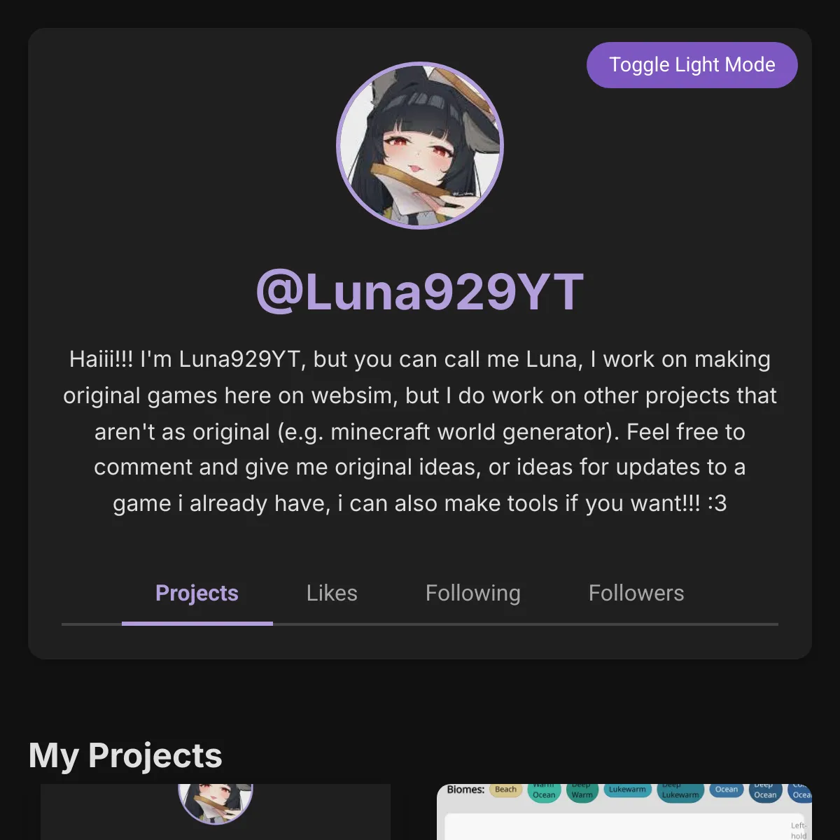 the project is loading