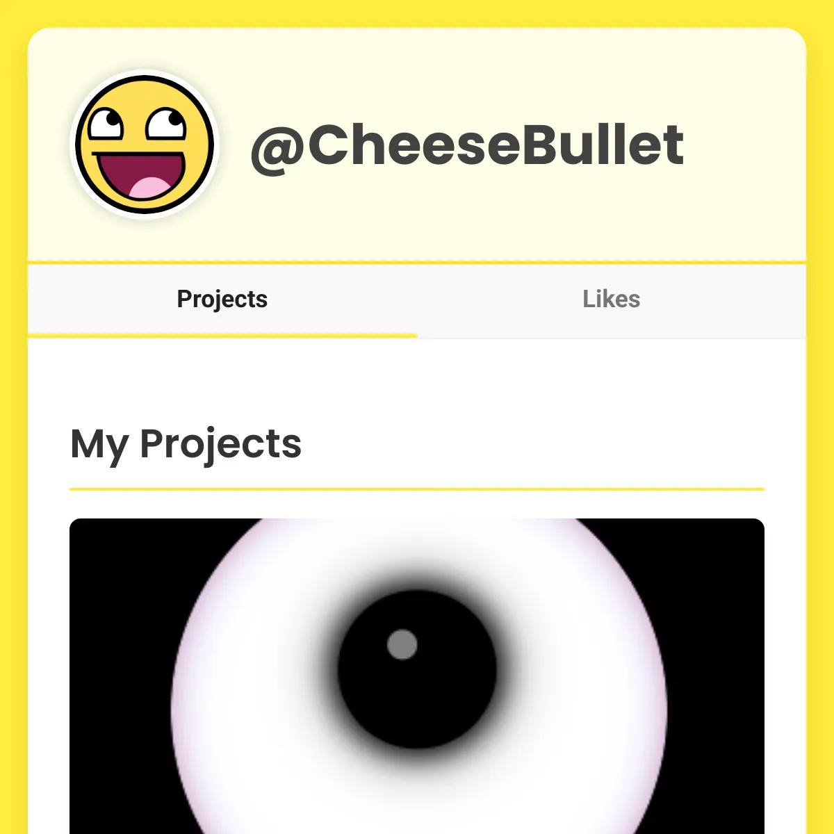 the project is loading