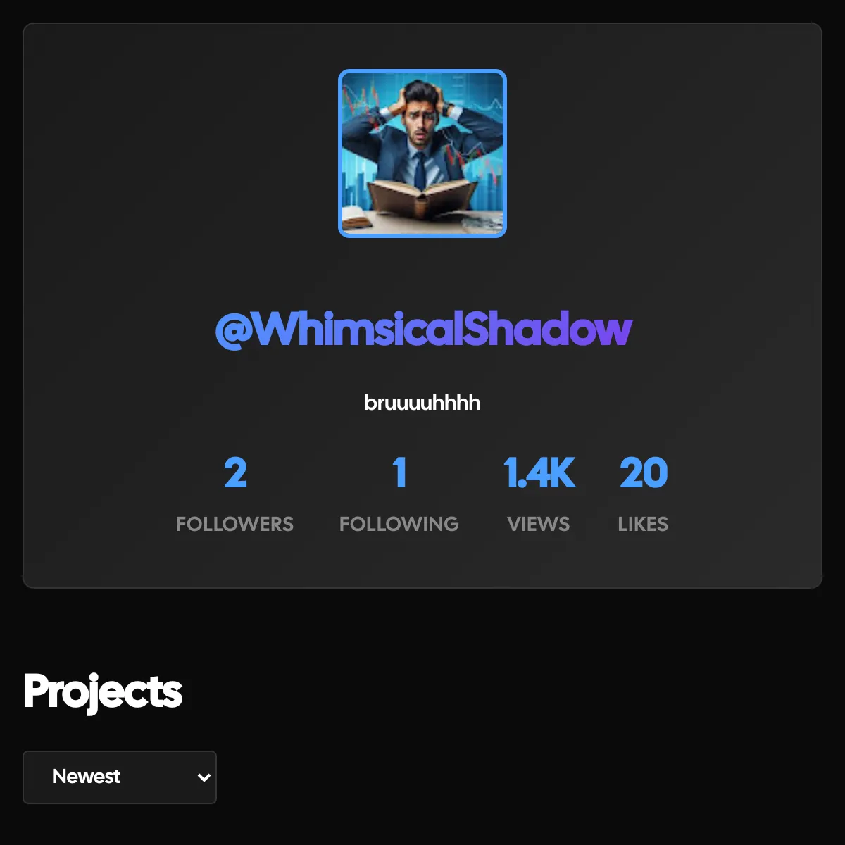 the project is loading