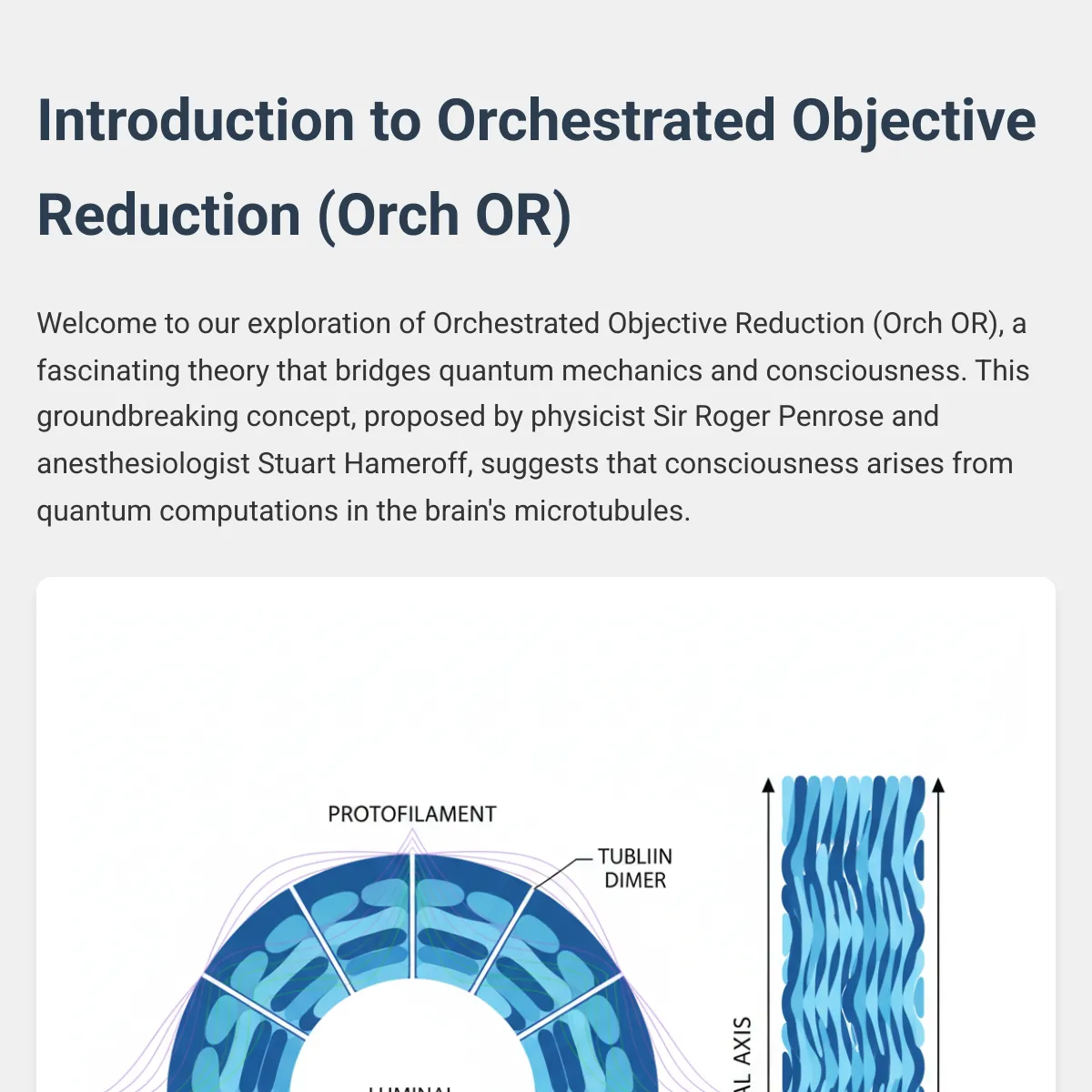 the project is loading