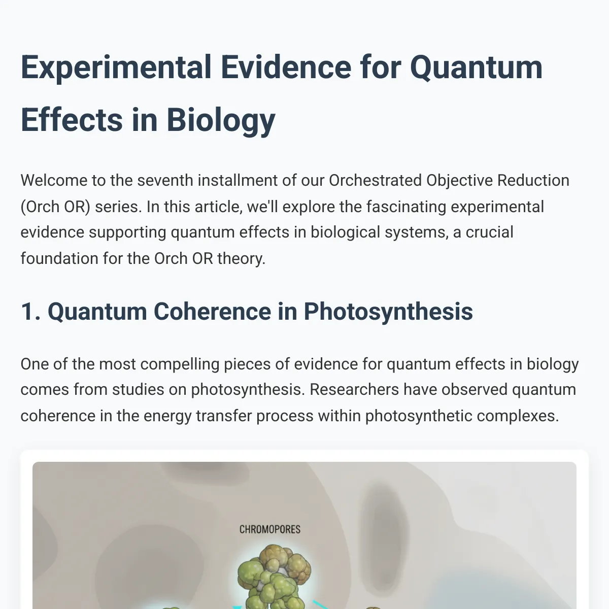 the project is loading