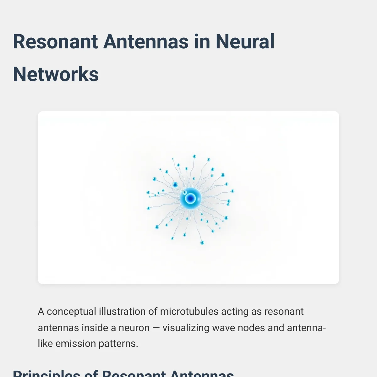 the project is loading