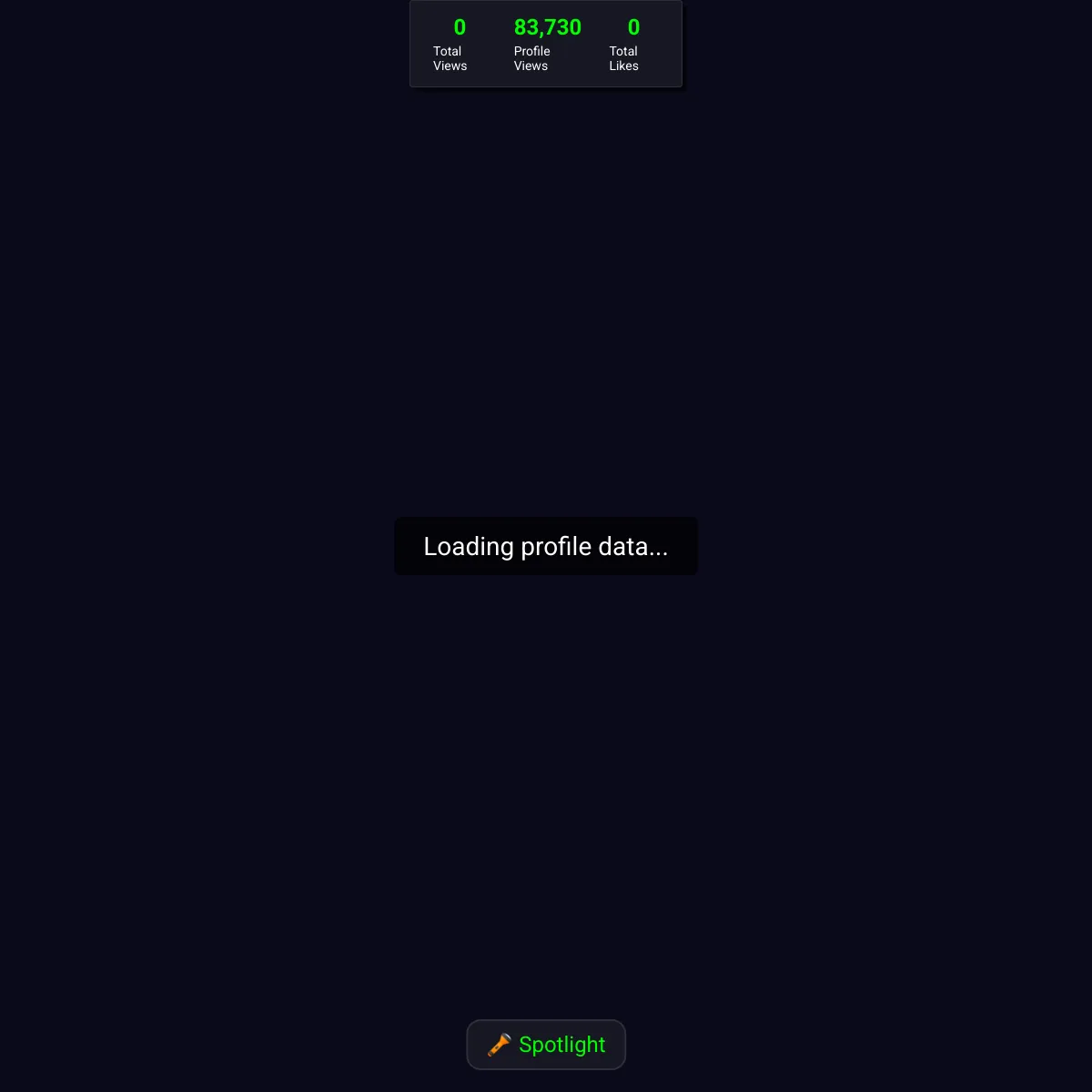 the project is loading