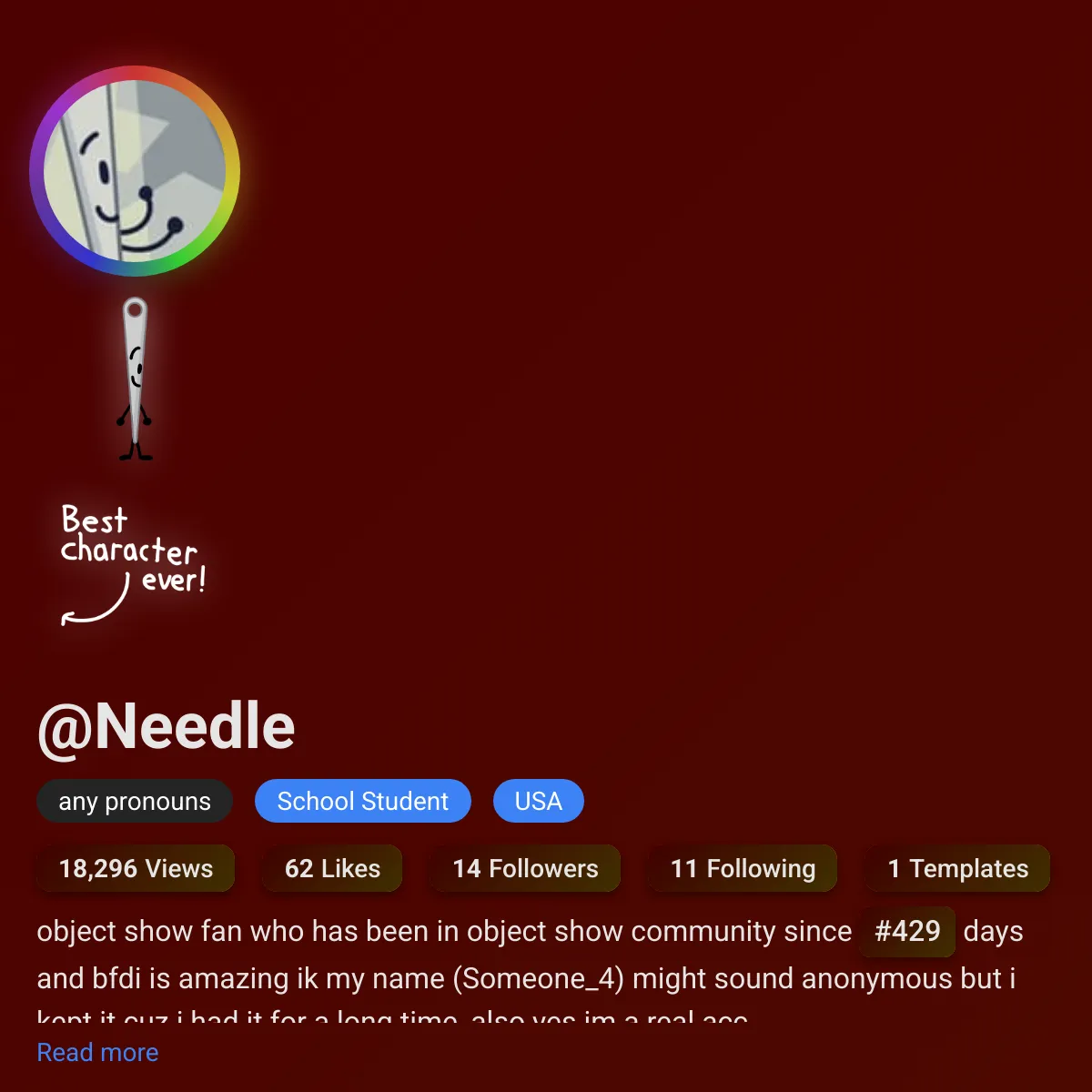 the project is loading