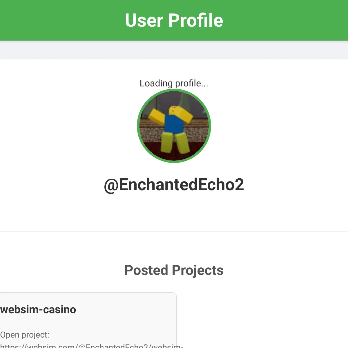 the project is loading