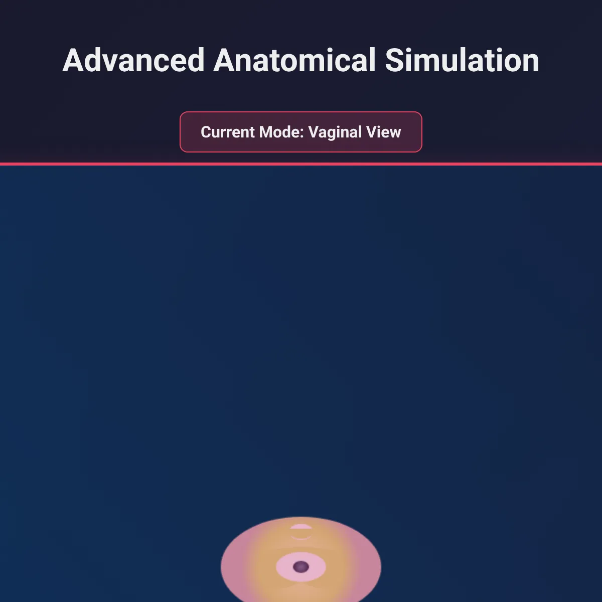 Educational Anatomical Simulation