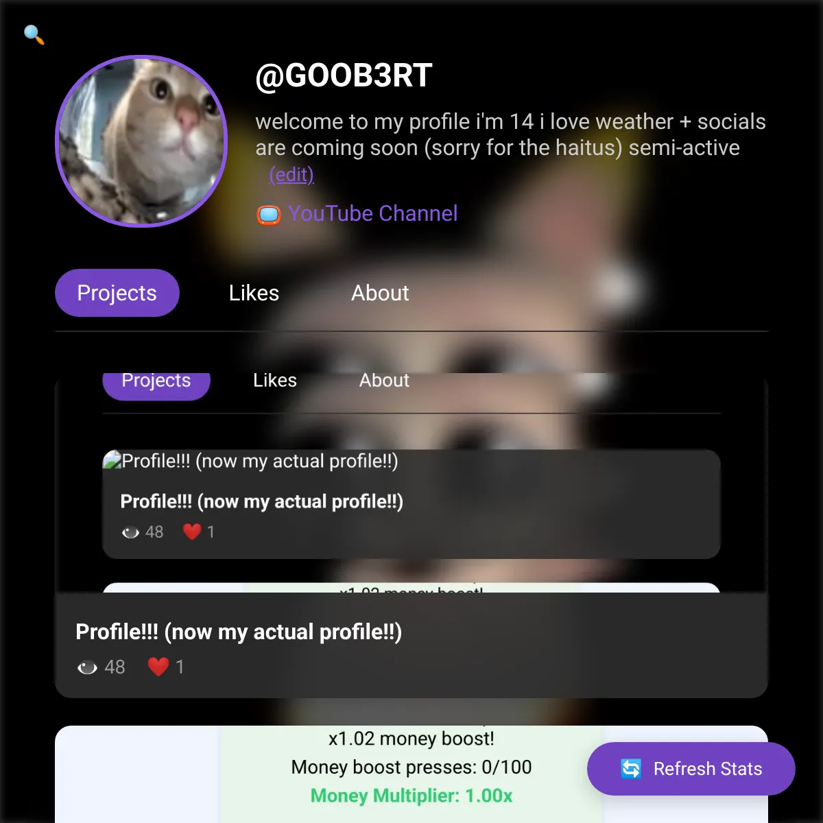 the project is loading