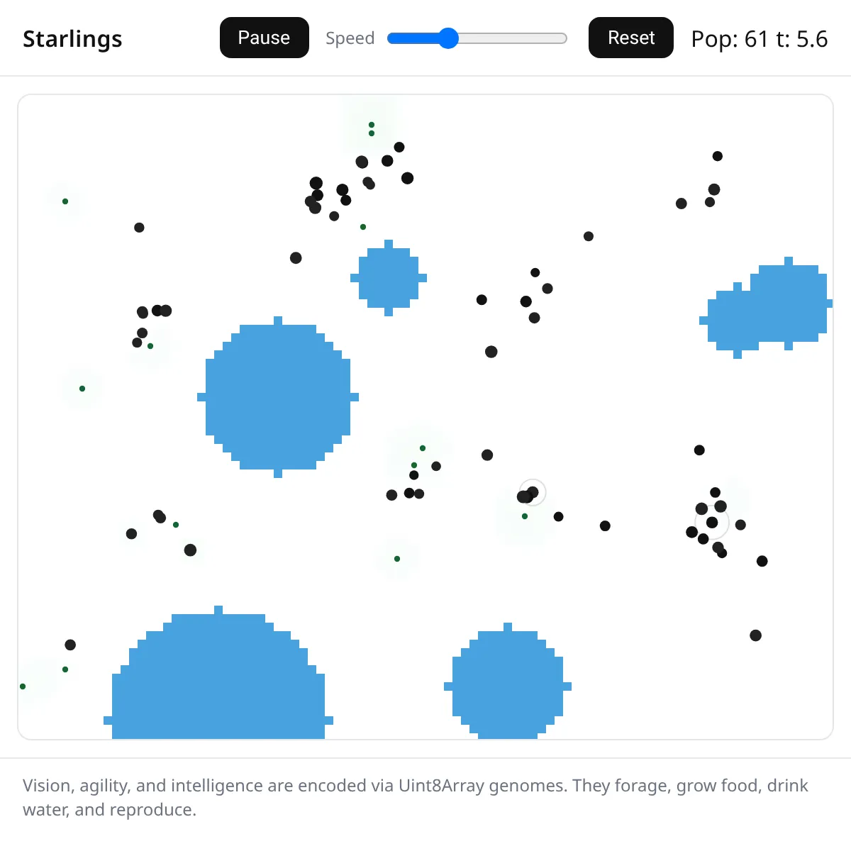 Starlings Life Simulation