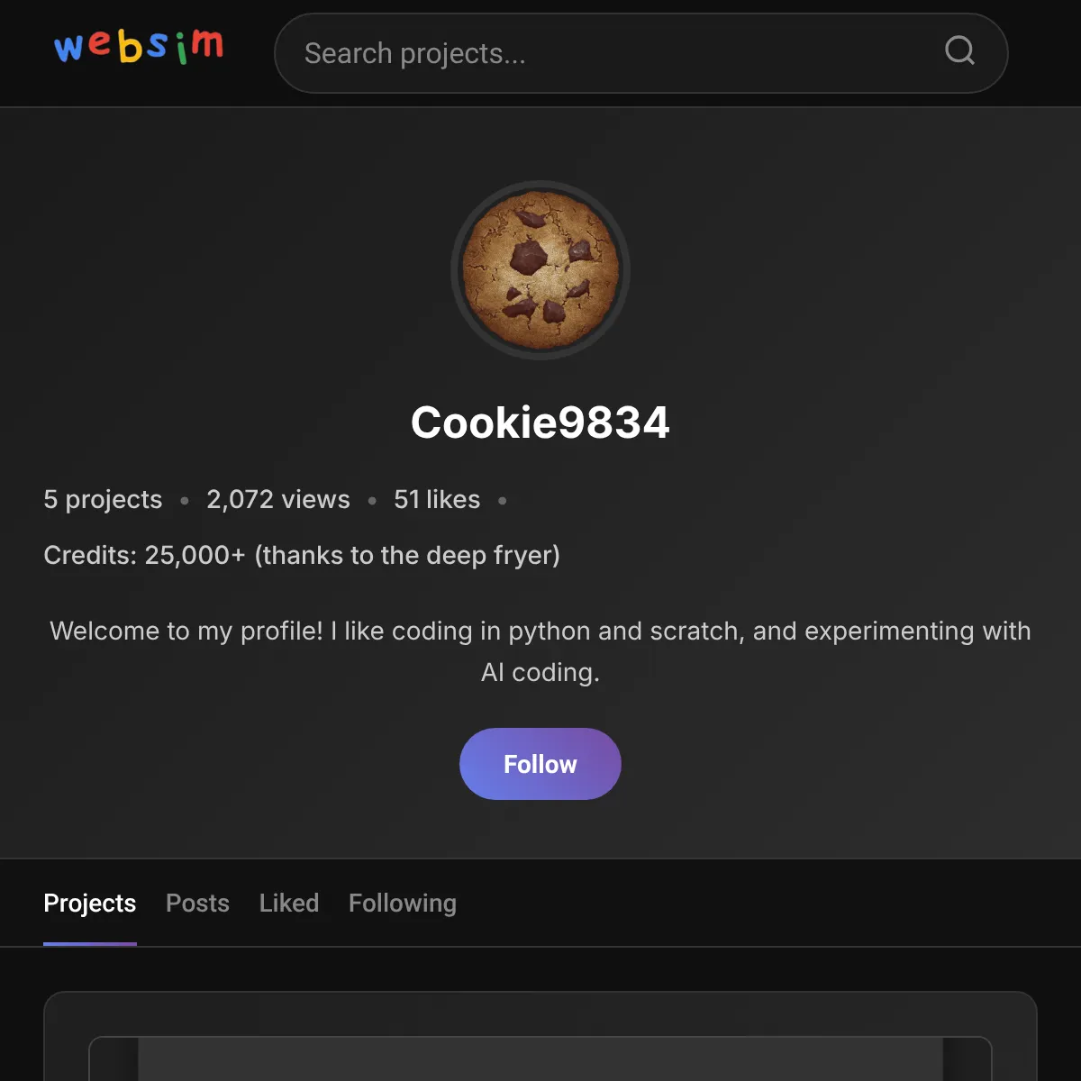 the project is loading