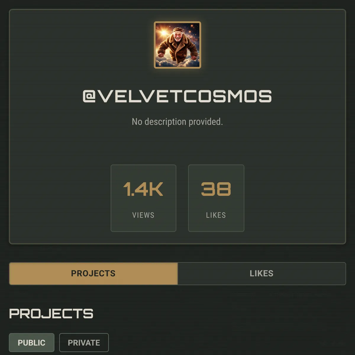 the project is loading