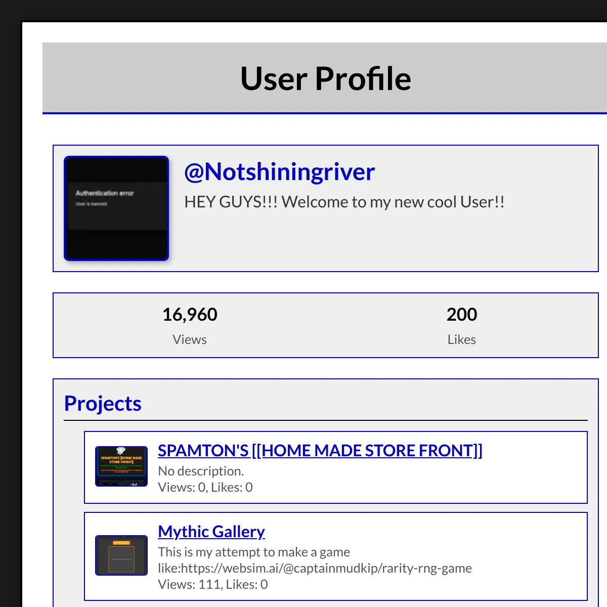 the project is loading