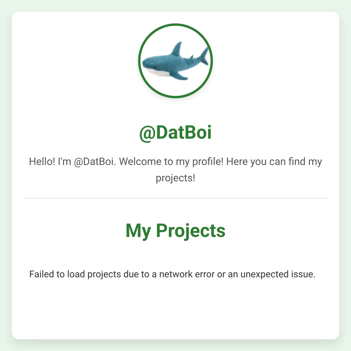 the project is loading